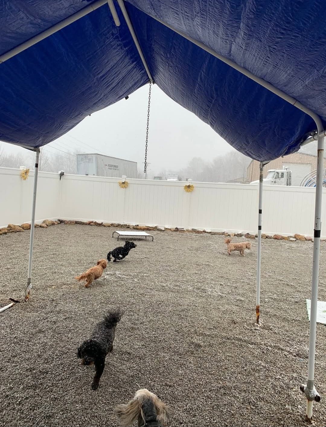 Covered outdoor area at Southern Paws Spa in Cookeville