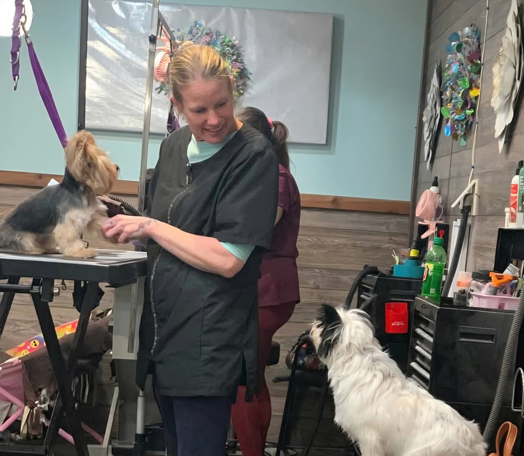 Southern Paws groomer caring for a dog