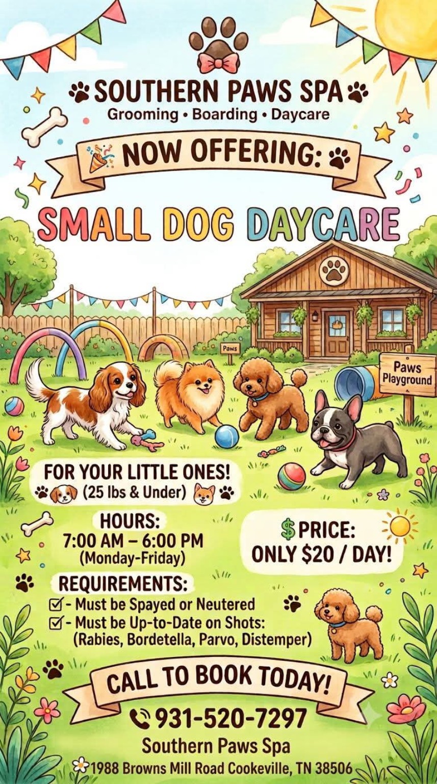 Southern Paws Spa flyer announcing small dog daycare in Cookeville