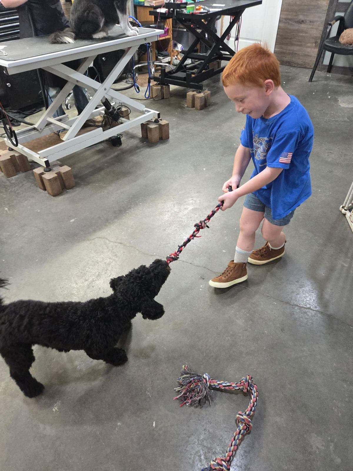 Child playing tug with a small black dog at Southern Paws Spa