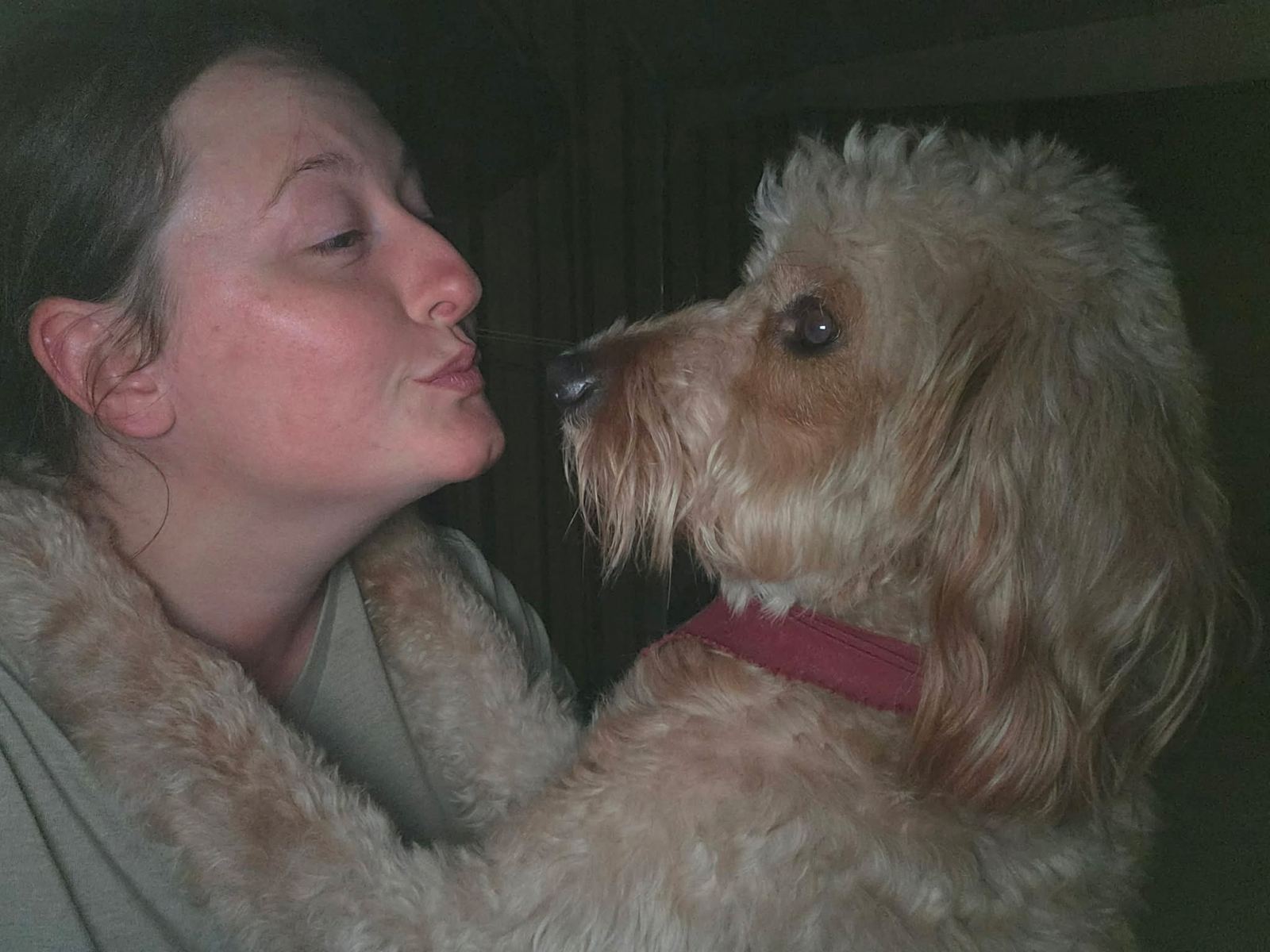 Southern Paws Spa team member greeting a fluffy dog