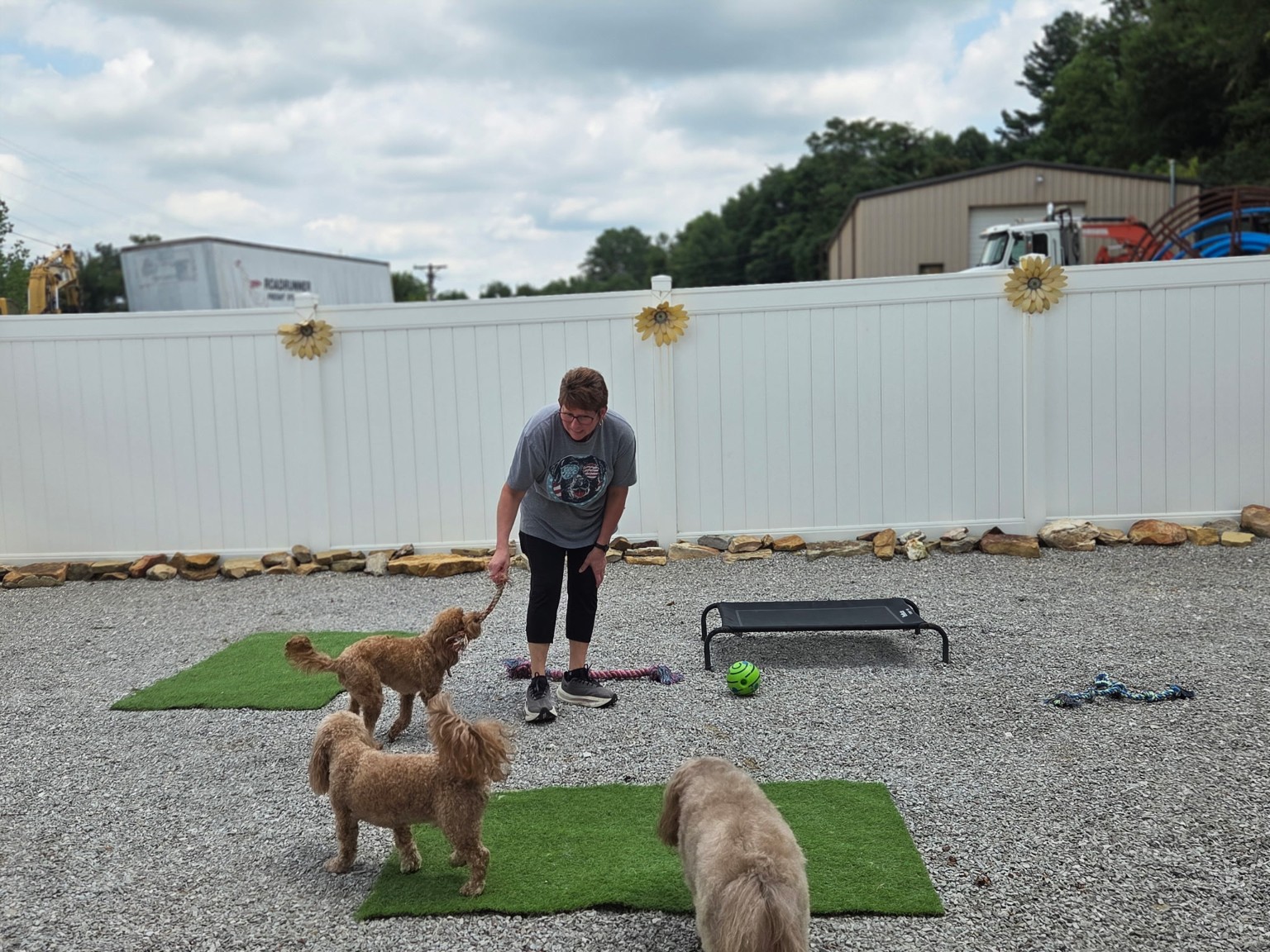 Southern Paws staff supervising dogs during outdoor playtime